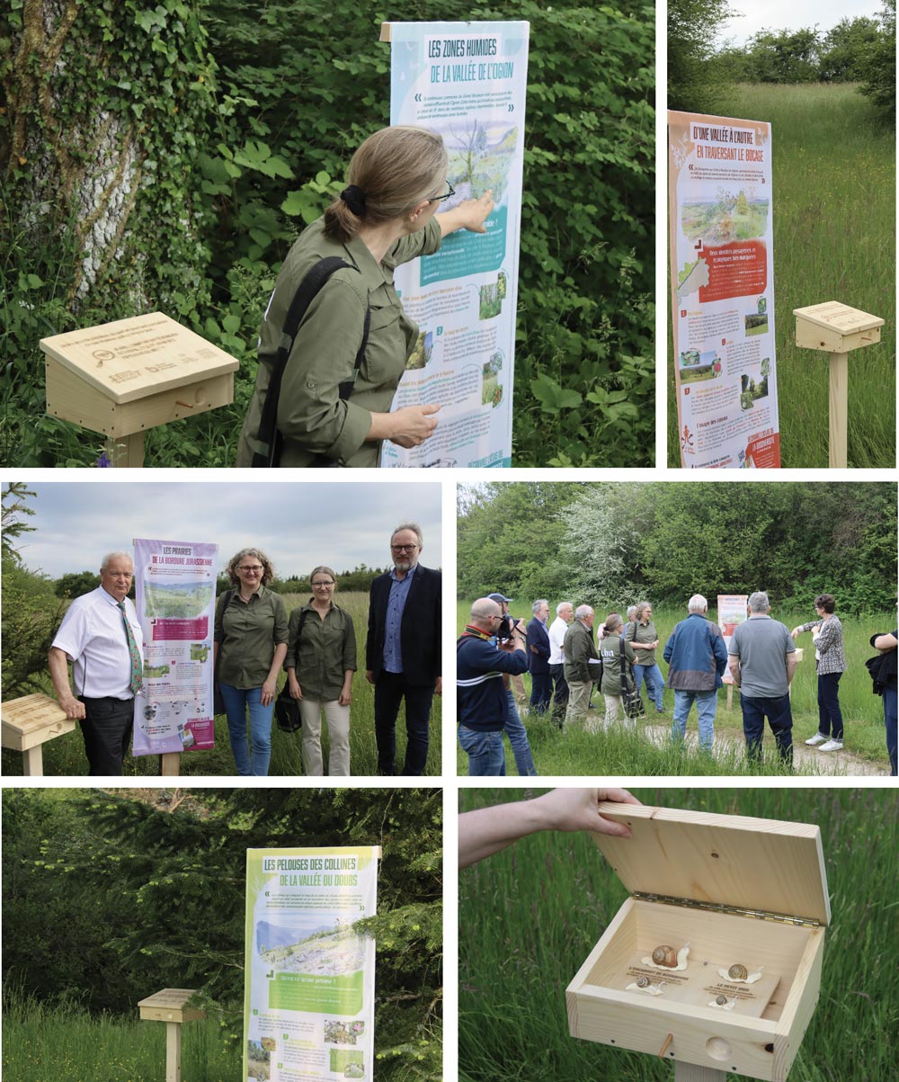 Exposition milieux naturels grand besançon musée maisons comtoises 