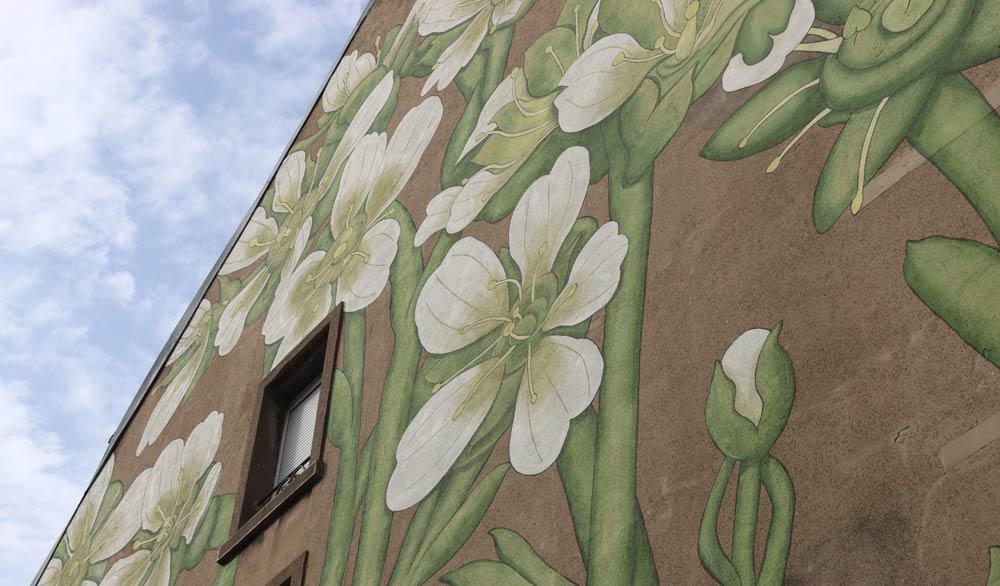 Fresque rue bersot saxifrage de gizia
