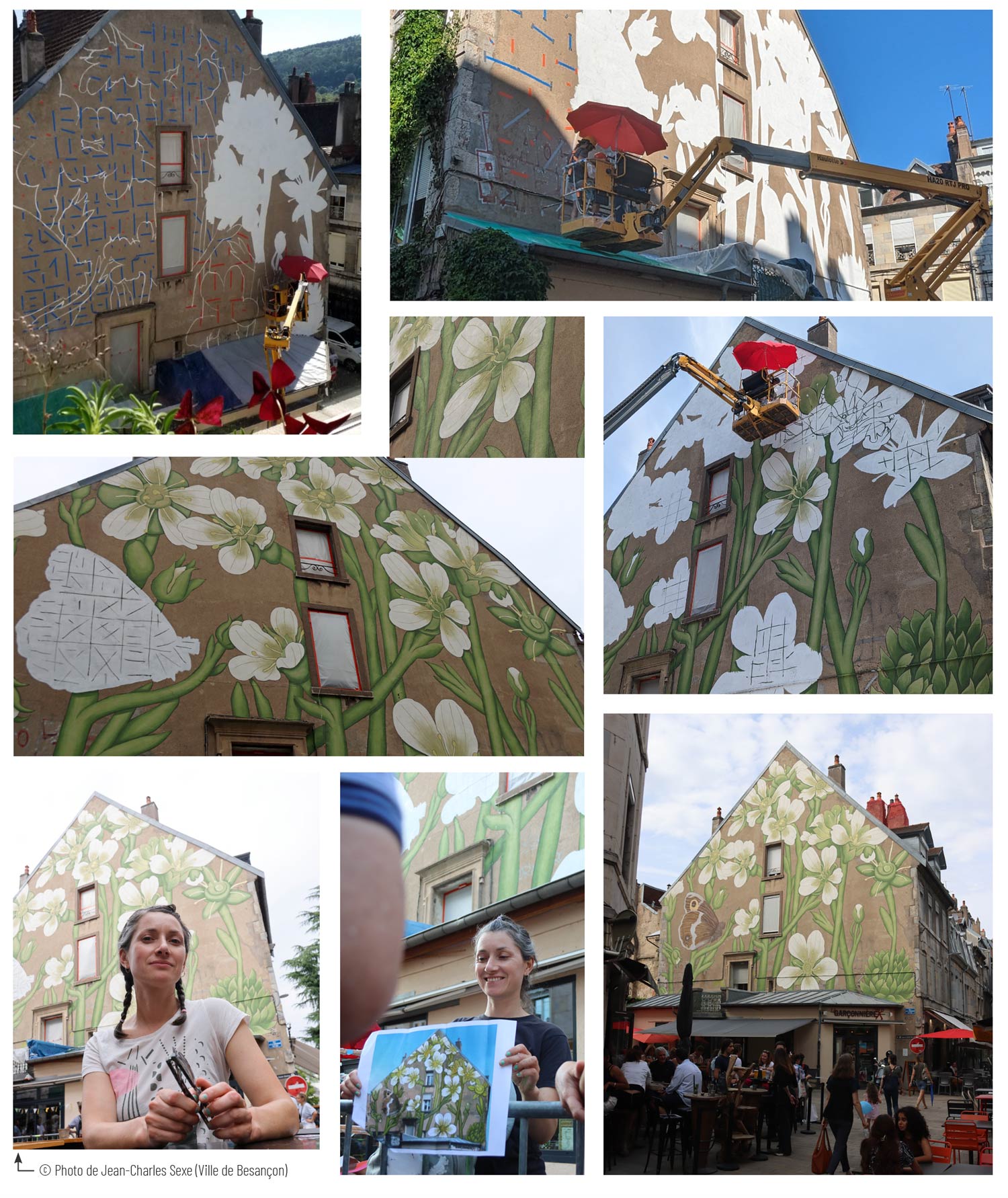 fresque saxifrage rue Bersot besançon botanique Doa Oa