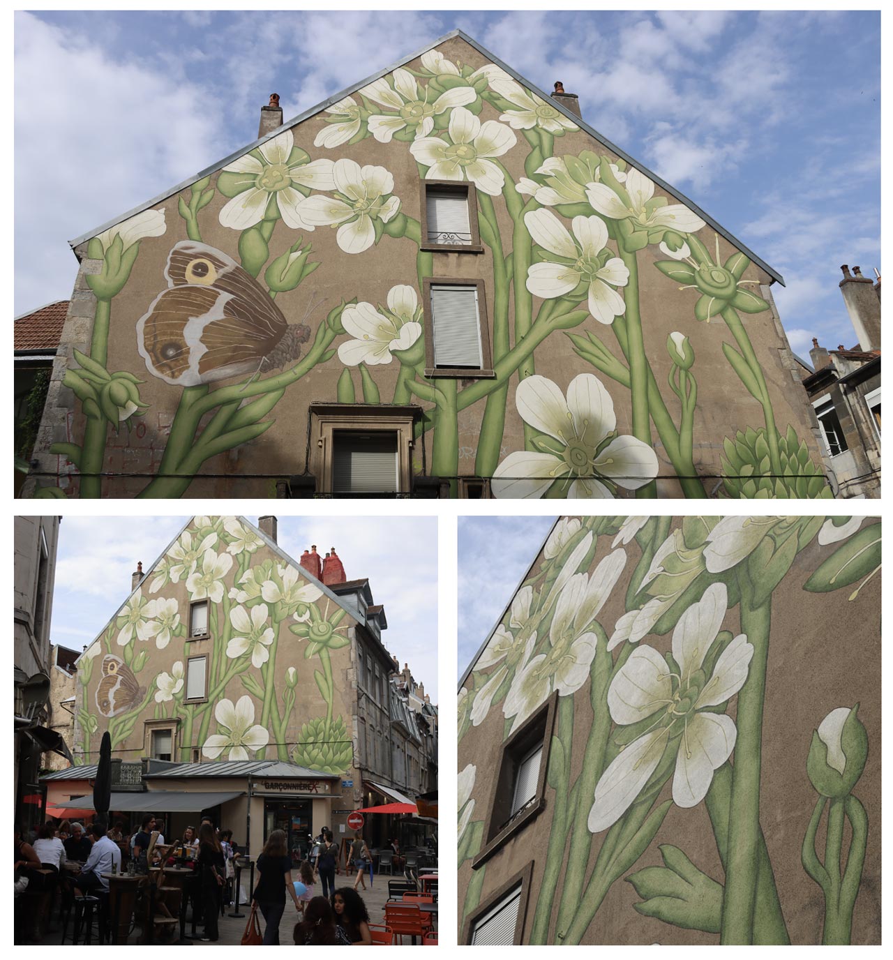 Saxifrage gizia hipparchus genava Besançon fresque Bien Urbain