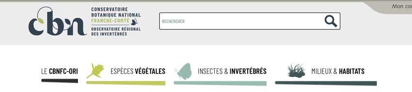 Moteur recherche global site web cbnfc-ori
