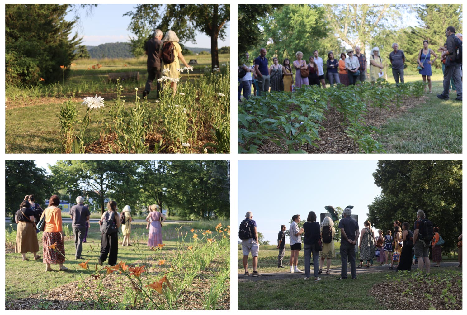 Visite horloge florale Parc des glaças Besançon