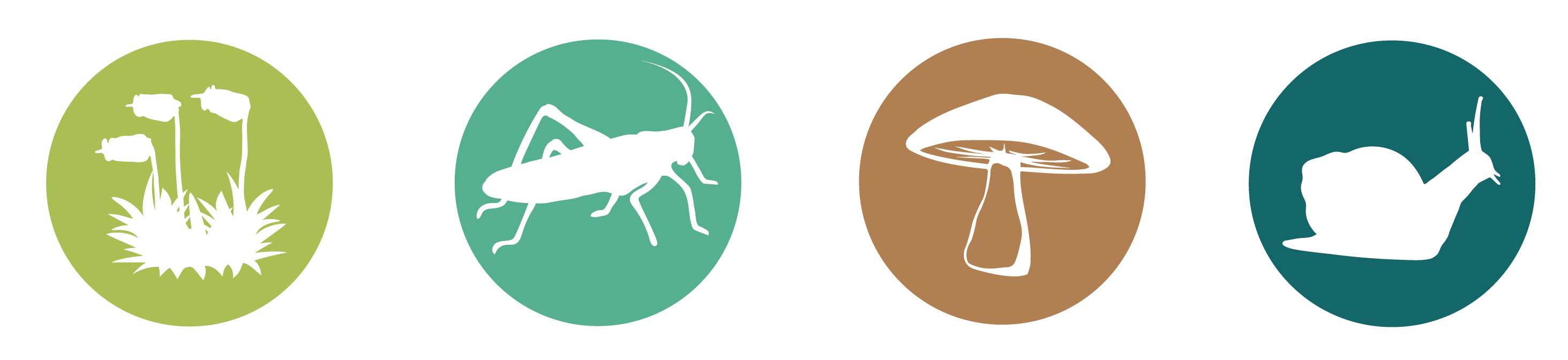 Pictogrammes-groupes-meconnus-BFC