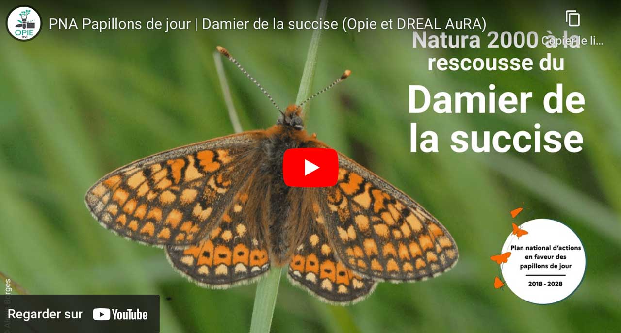 Vidéo Damier de la suffise