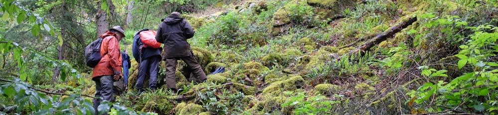 Sortie-Avallon_bryophytes-reseau-correspondants Bourgogne