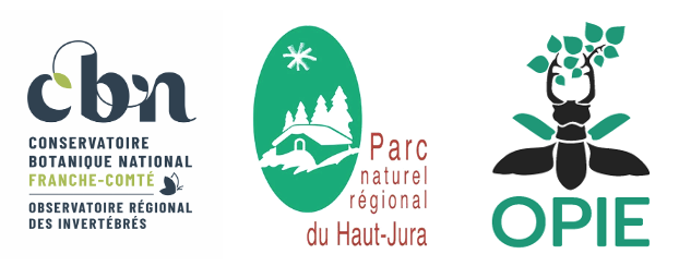 Logos partenaires enquête Apollon