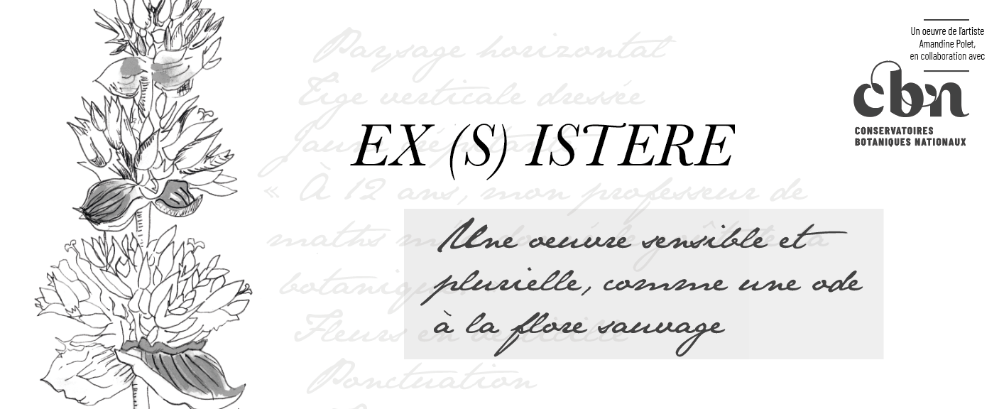 exsistere oeuvre Amandine Polet Conservatoires botaniques nationaux