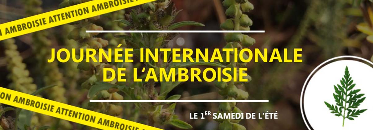 Journée internationale de lutte contre l'ambroisie
