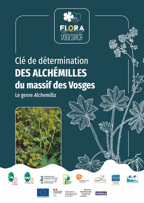 Flora Vogesiaca Clé de détermination