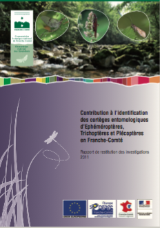 cont-identif-ephe-trico-pleco-fc-12_cbnfc-ori2