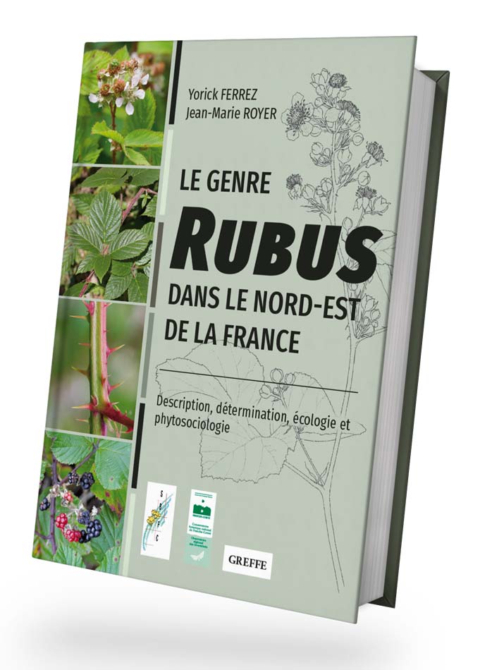 Les ronces du nord-est de la France