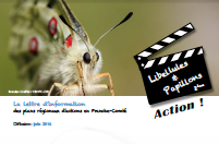 lettre-info-papillons-libellules-n2