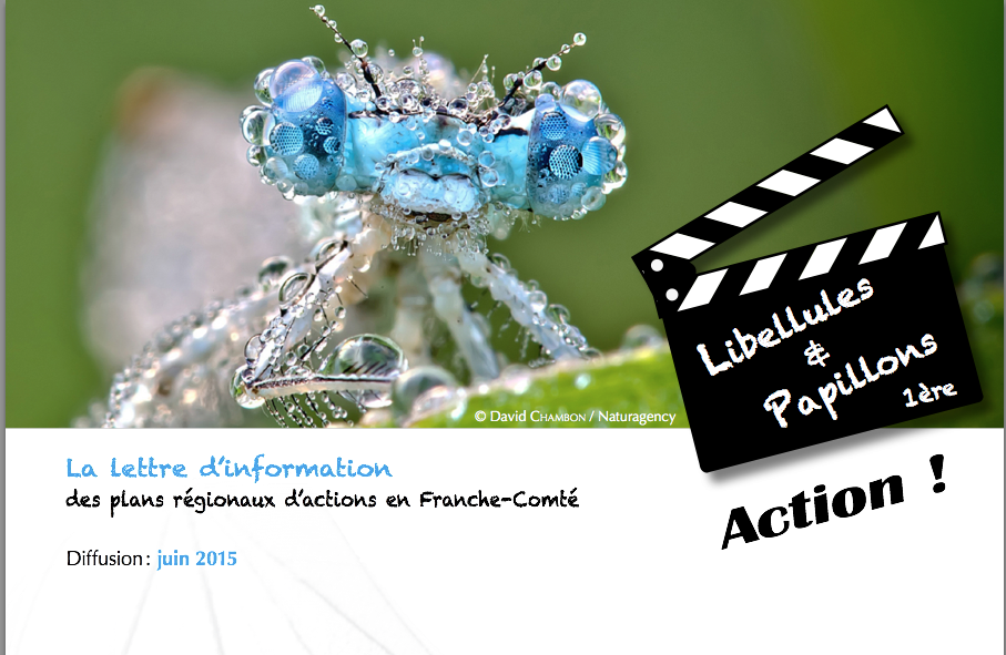 Lettre d'info. PRA CBNFC-ORI N1