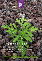 mémento ambroisie risques chantiers