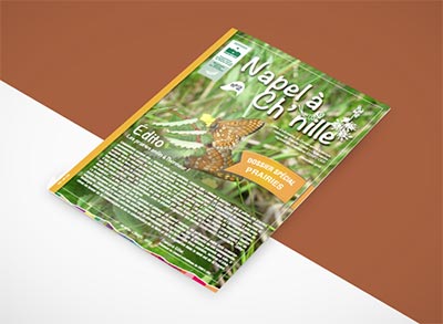 Napel-a-chnille-n2_cbnfc-ori