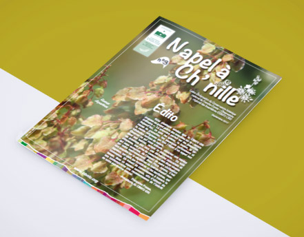 Napel-chnille-sortie-n3-conservatoire-botanqiue-fc