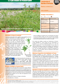 Des fiches techniques très complètes