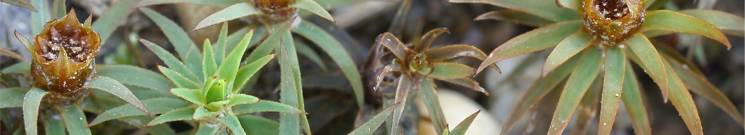 Espace Documentation